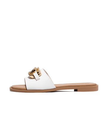Slides