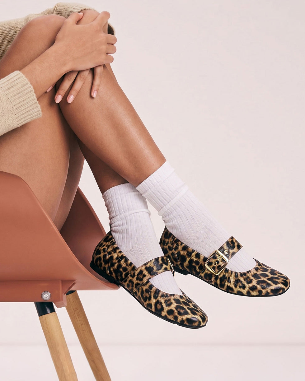 Leopard
