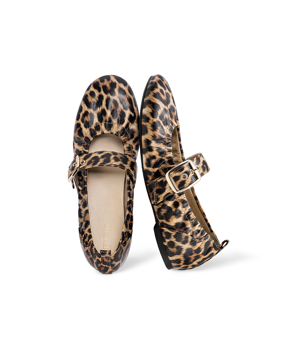 Leopard