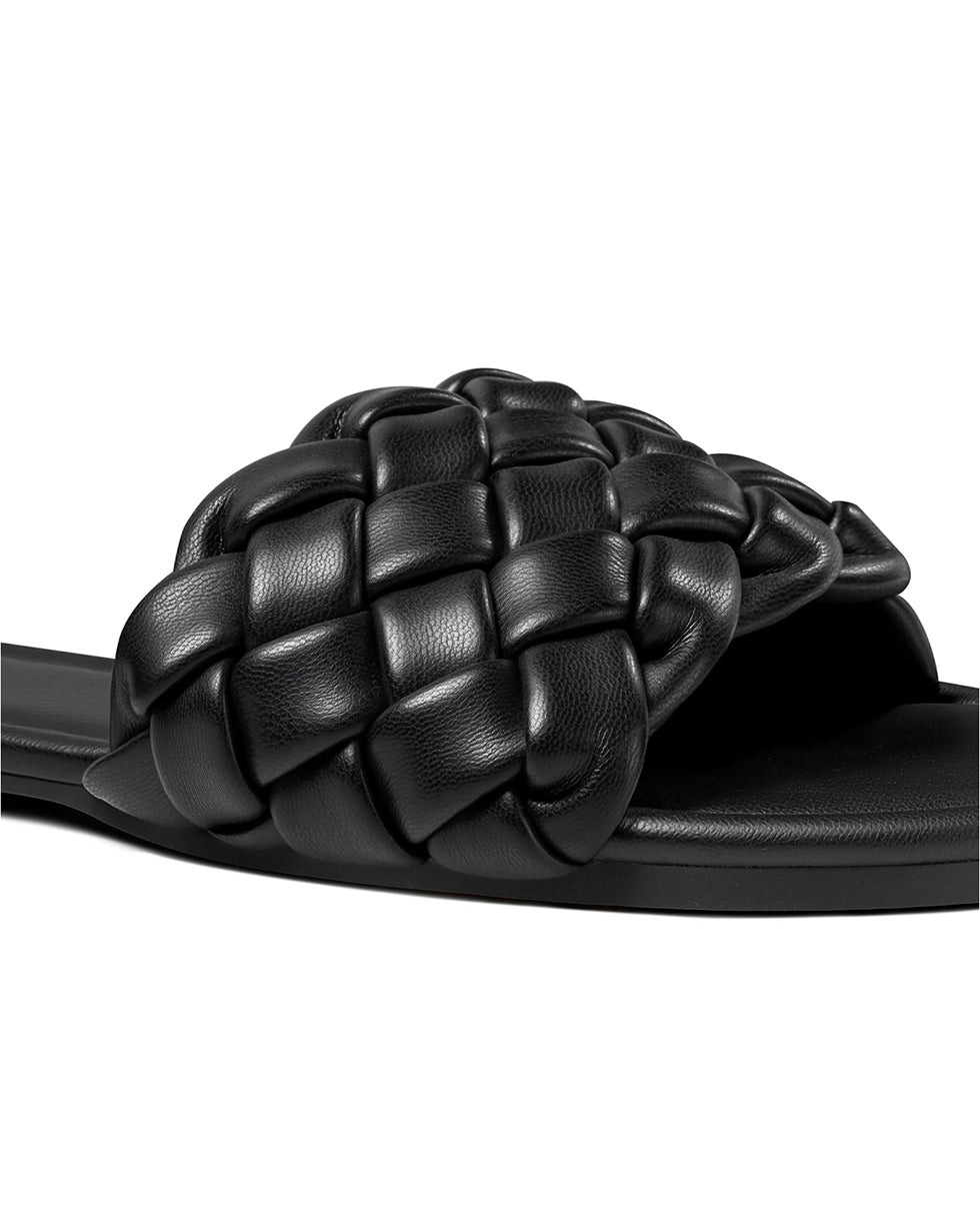All_Black
