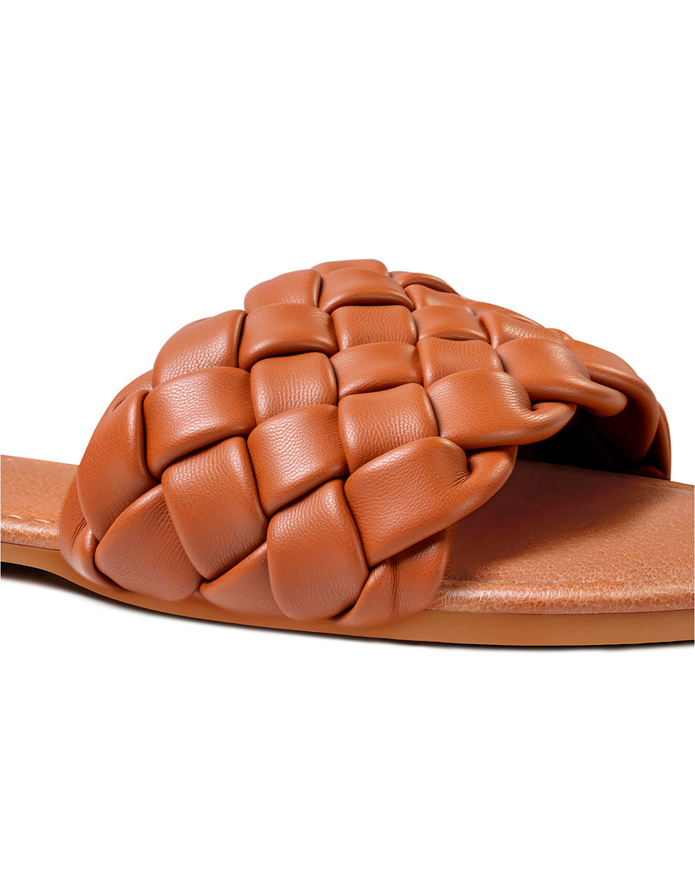 All_Brown