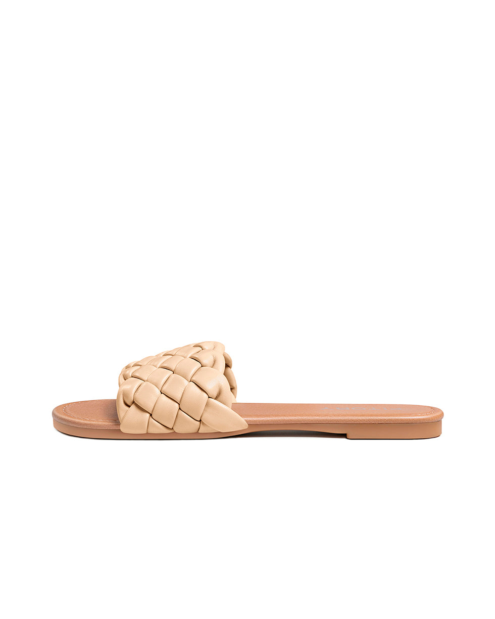Apricot