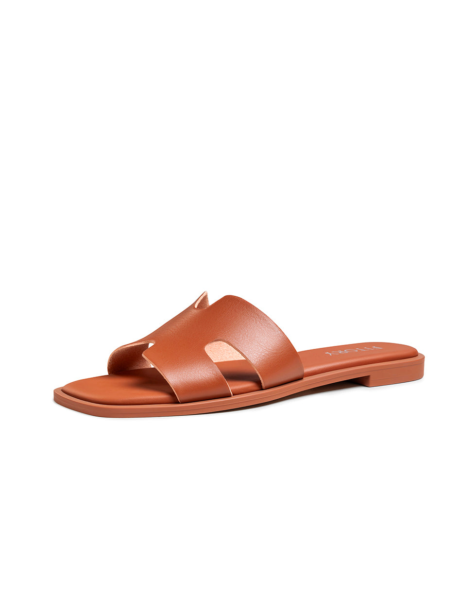 All_Brown