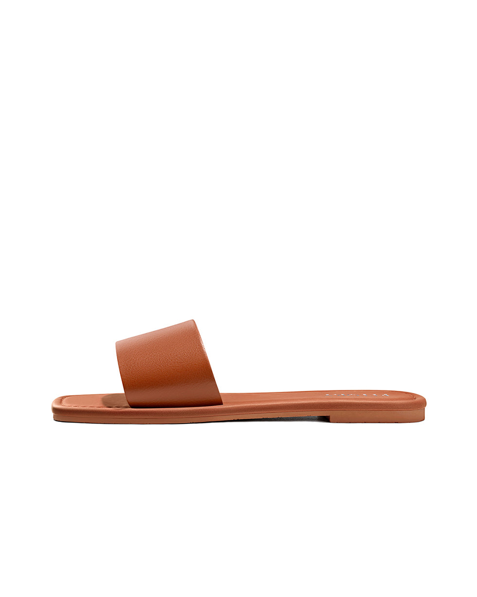 All_Brown