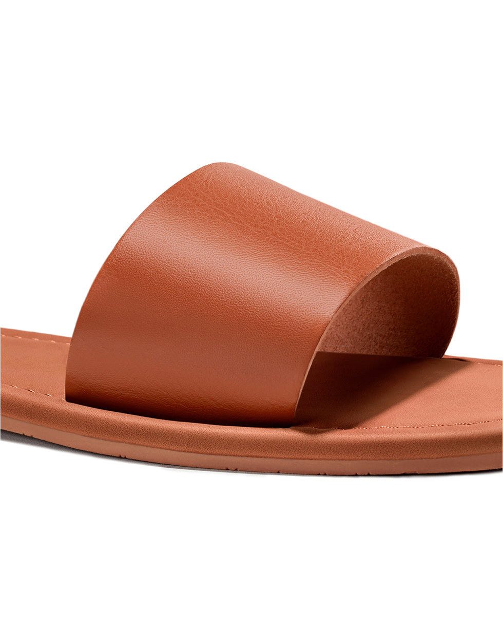 All_Brown