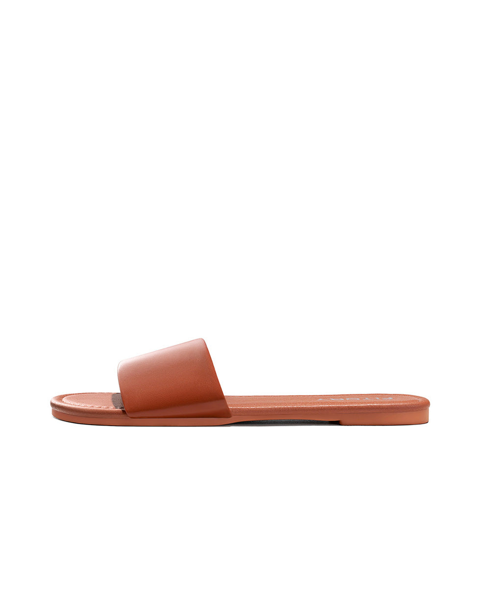 All_Brown