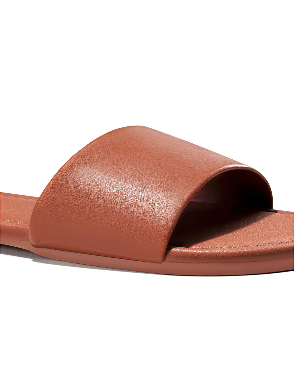 All_Brown