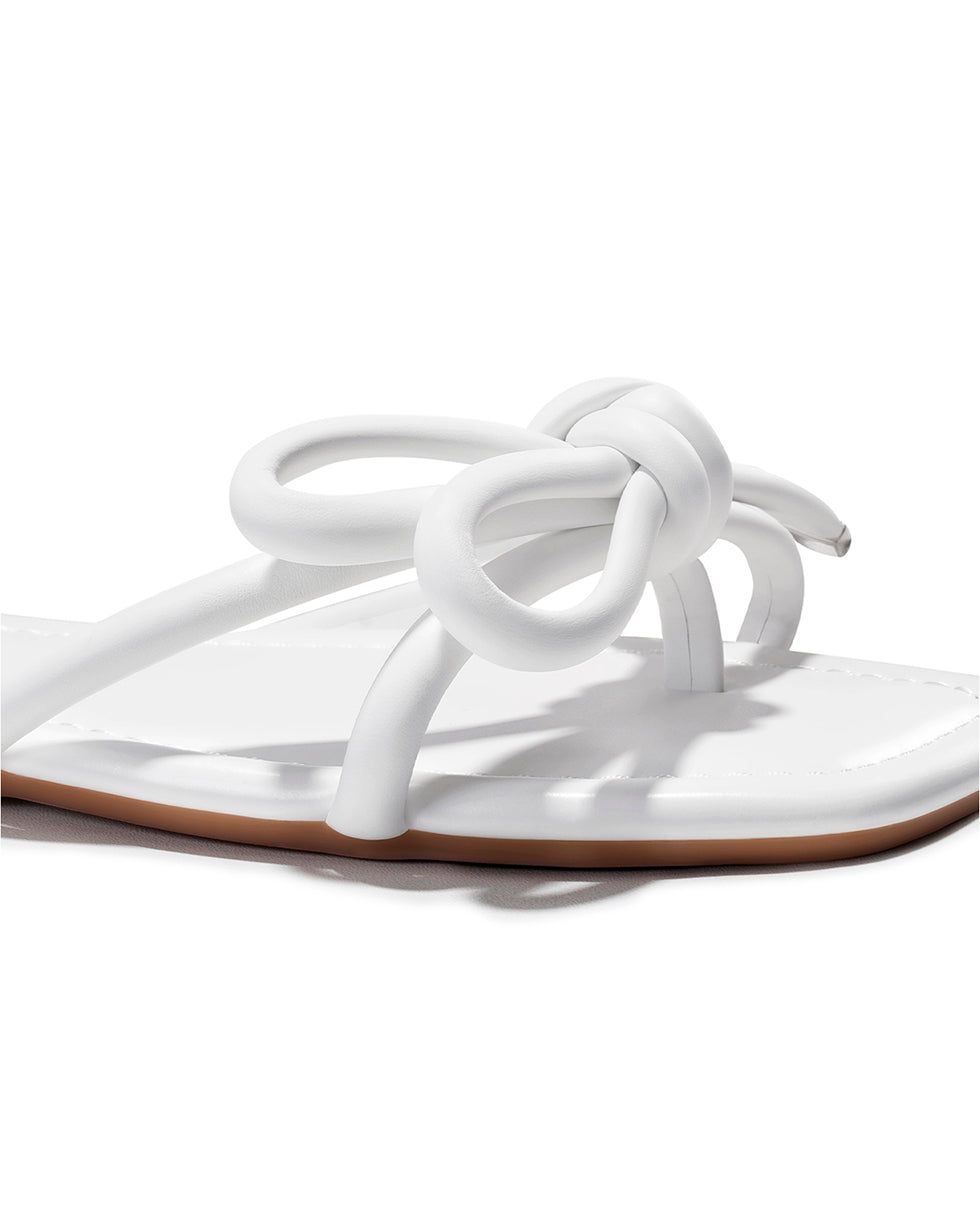 All_White