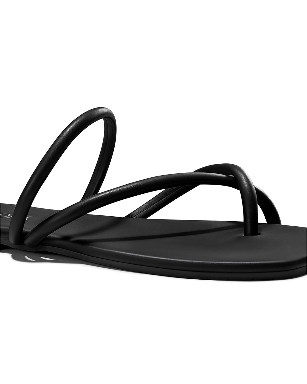 All_Black