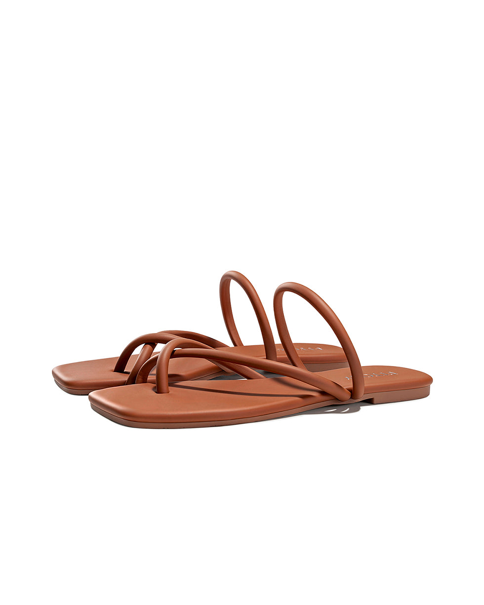 All_Brown