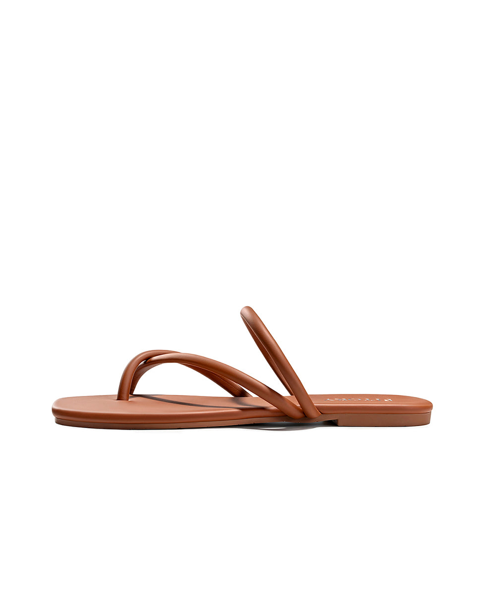 All_Brown