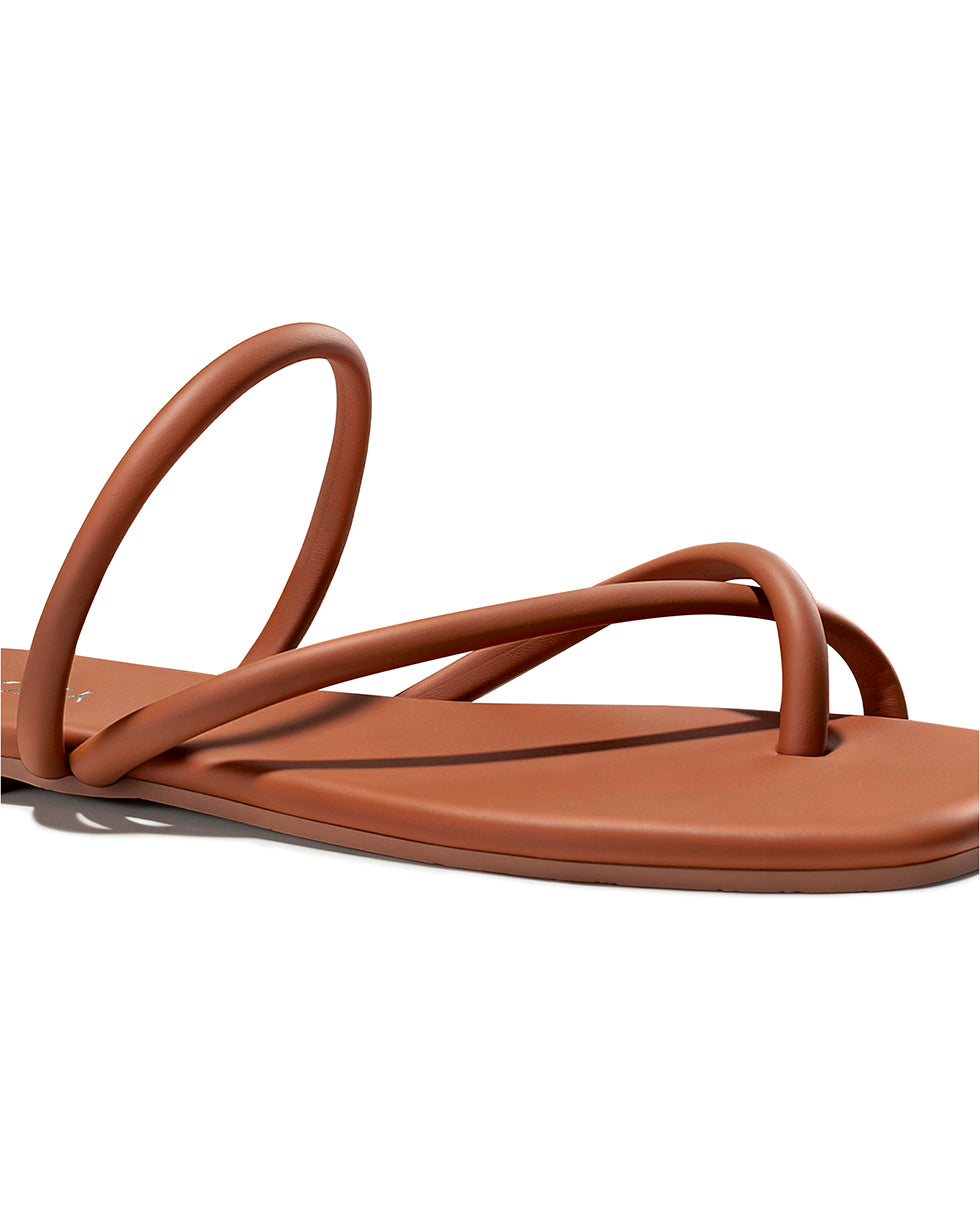 All_Brown