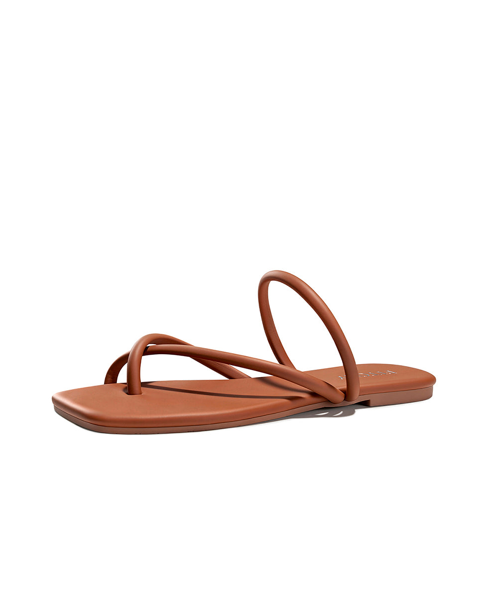 All_Brown