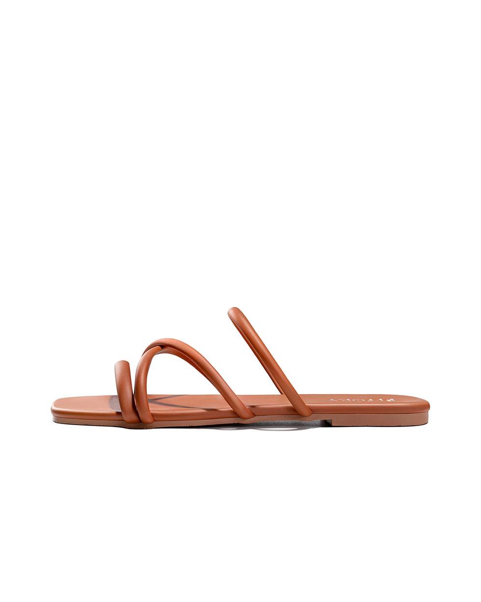 All_Brown