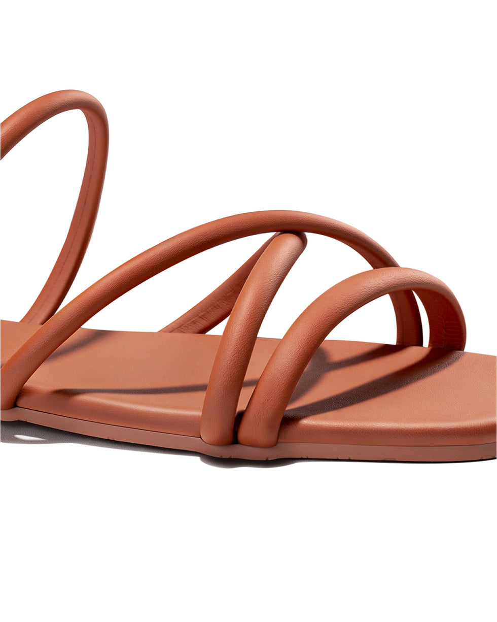 All_Brown