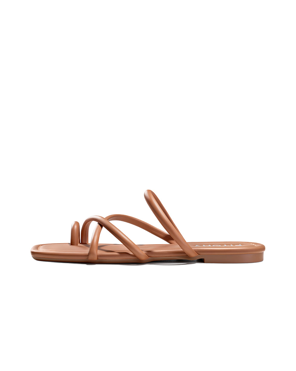 All_Brown