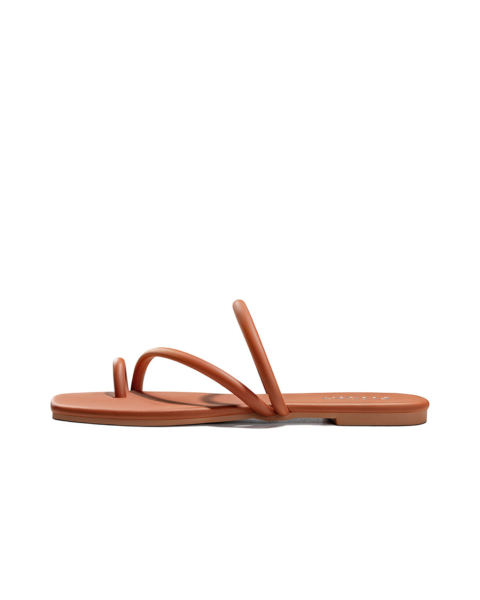 All_Brown
