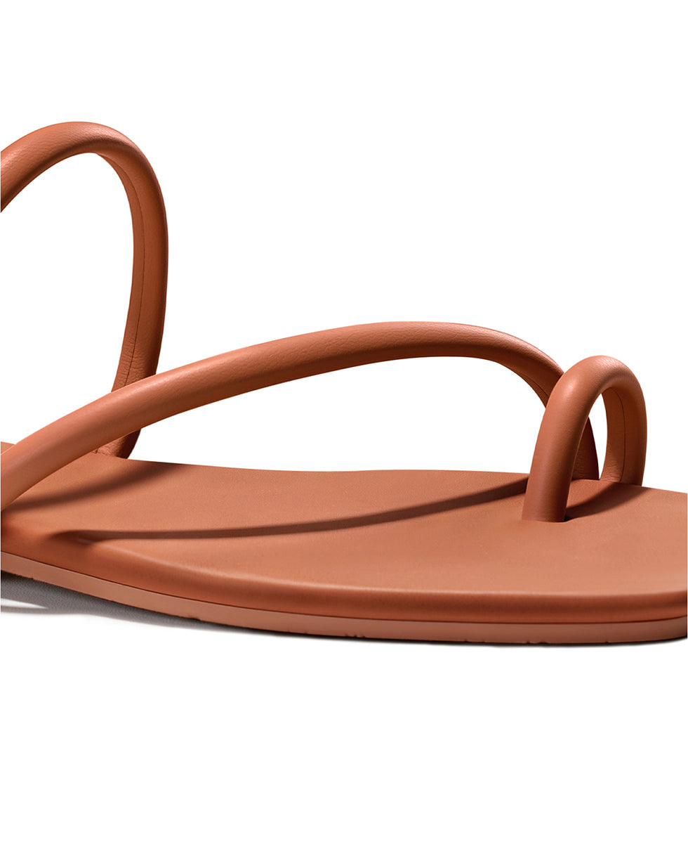 All_Brown
