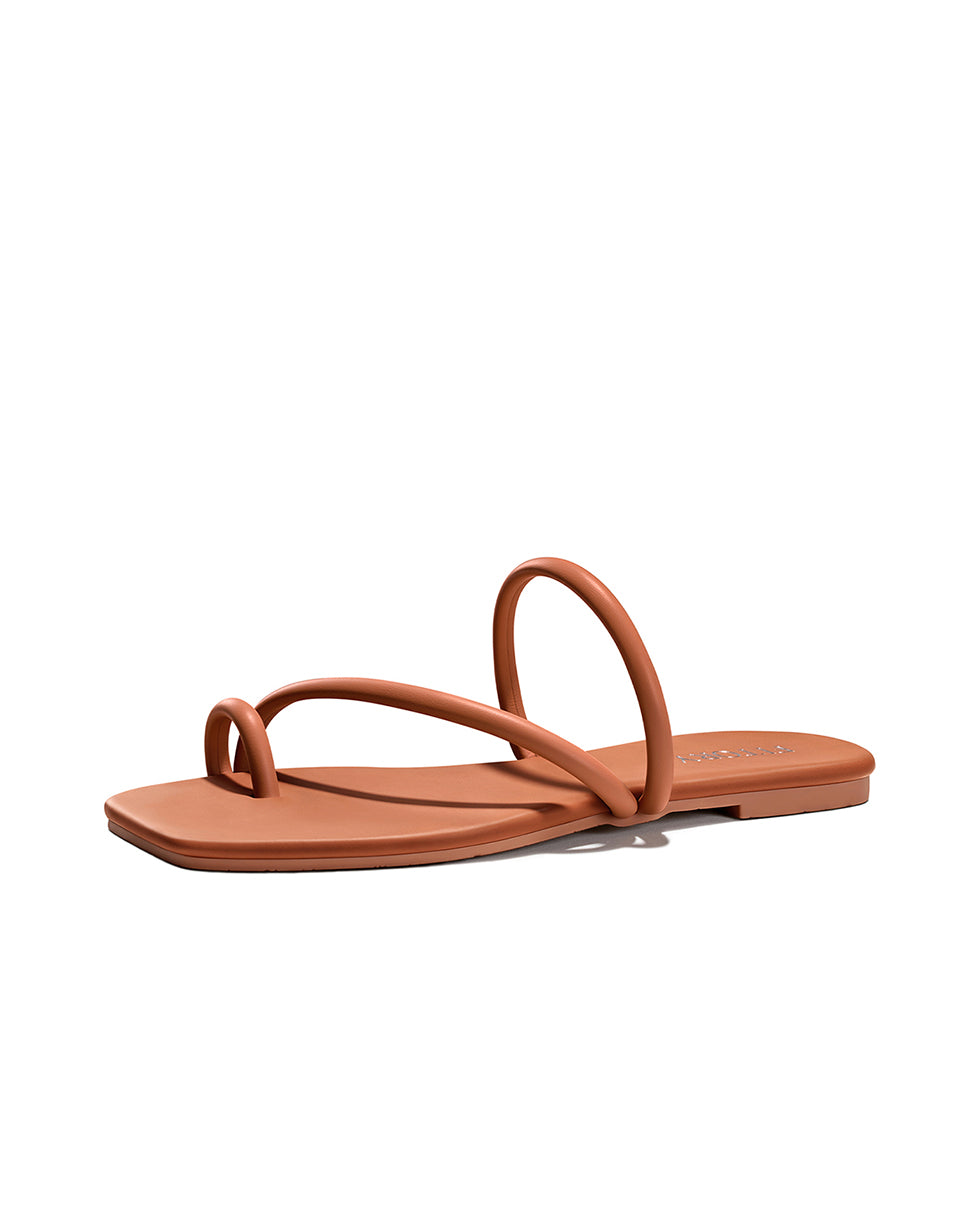 All_Brown