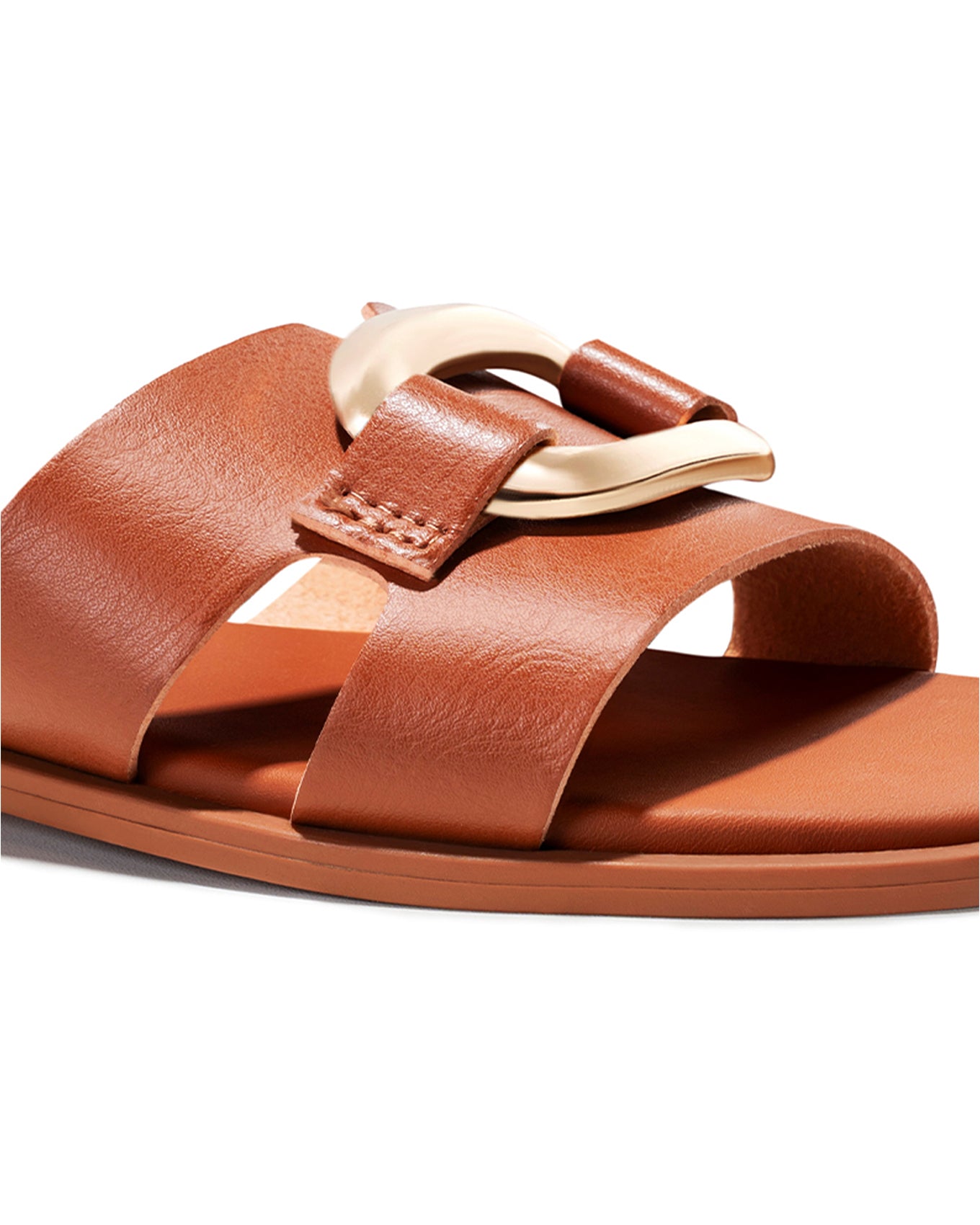 All_Brown