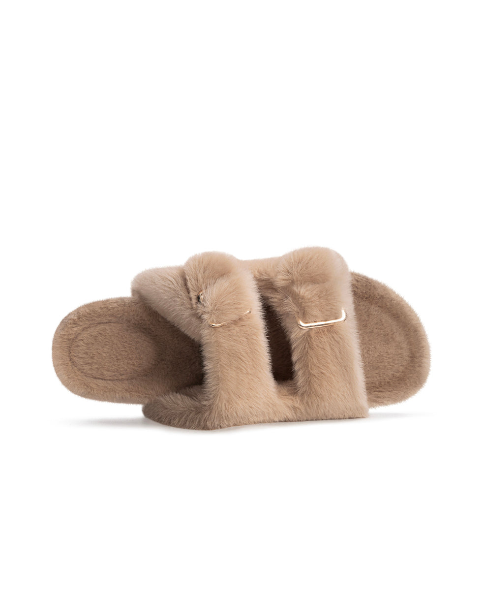Camel